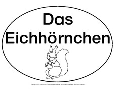 Mindmap-Eichhörnchen-B.pdf